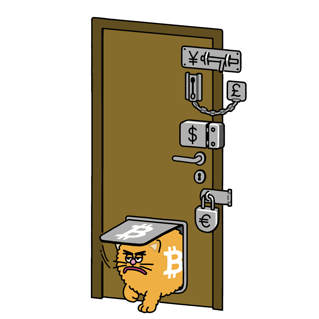 cat flap bitty
