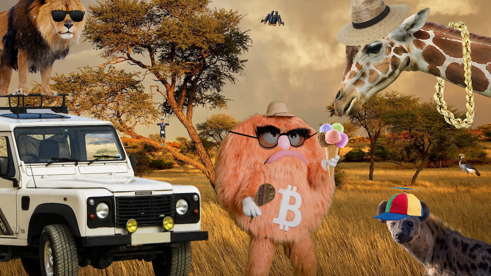 bitcoin safari