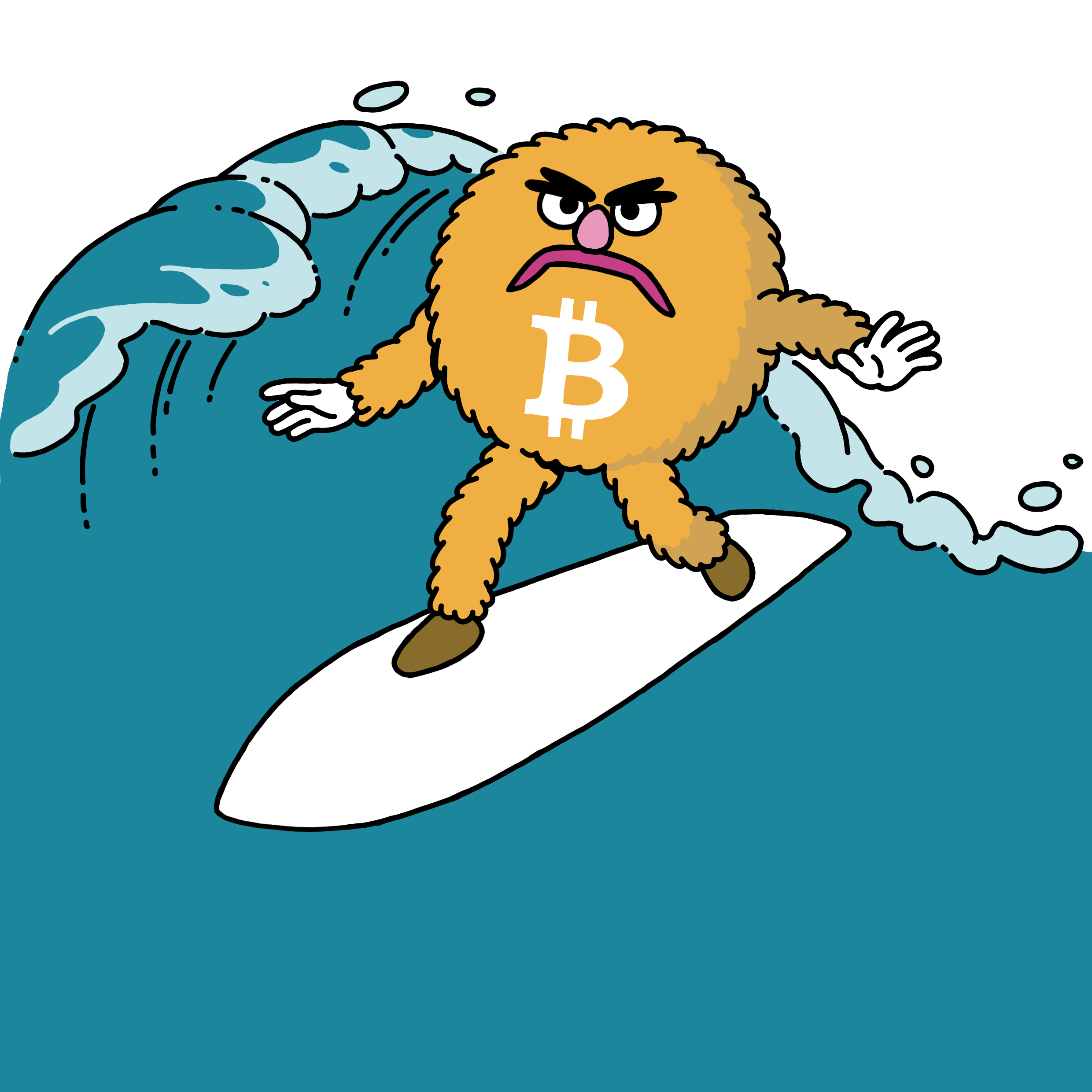 bitcoin surfing