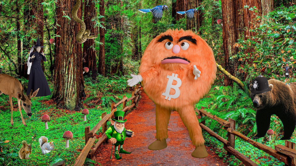 bitcoin woods
